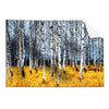Textil Ersatzdruck Wald Mit Birkenbaeumen Querformat Produktvorschau Frontal