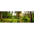 Textil Ersatzdruck Wald Mit Sonnenstrahlen No 2 Panorama Motivvorschau
