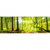 Textil Ersatzdruck Wald Mit Sonnenstrahlen Panorama Motivvorschau
