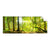 Textil Ersatzdruck Wald Mit Sonnenstrahlen Panorama Produktvorschau Frontal