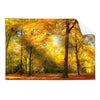 Textil Ersatzdruck Waldlandschaft Im Herbst Querformat Produktvorschau Frontal