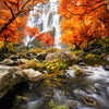 Textil Ersatzdruck Wasserfall In Herbstlandschaft Quadrat Motivvorschau