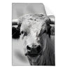 Textil Ersatzdruck Weisser Bulle Hochformat Produktvorschau Frontal