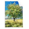 Textil Ersatzdruck Wiese Mit Bluehendem Baum Hochformat Produktvorschau Frontal