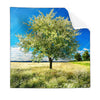Textil Ersatzdruck Wiese Mit Bluehendem Baum Quadrat Produktvorschau Frontal