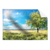 Textil Ersatzdruck Wiese Mit Bluehendem Baum Querformat Produktvorschau Frontal