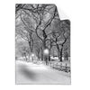 Textil Ersatzdruck Wintermorgen Im Central Park Hochformat Produktvorschau Frontal