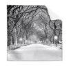 Textil Ersatzdruck Wintermorgen Im Central Park Quadrat Produktvorschau Frontal