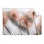 Textil Ersatzdruck Zarte Pusteblume Querformat Produktvorschau Frontal