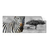 Textil Ersatzdruck Zebra In Afrika Panorama Produktvorschau Frontal