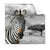 Textil Ersatzdruck Zebra In Afrika Quadrat Produktvorschau Frontal