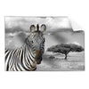 Textil Ersatzdruck Zebra In Afrika Querformat Produktvorschau Frontal