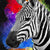 Textil Ersatzdruck Zebra Pop Art No 1 Quadrat Motivvorschau