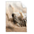 Textil Ersatzdruck Zebra Staub Hochformat Produktvorschau Frontal
