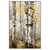 Xxl Wandbild Abstrakter Birkenwald Hochformat Produktvorschau Frontal