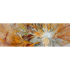 Xxl Wandbild Abstrakter Bluetenzauber In Orange Panorama Motivvorschau