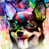 Xxl Wandbild Abstrakter Chihuahua Quadrat Motivvorschau