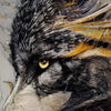 Xxl Wandbild Abstrakter Wolf In Gold Und Grau Querformat Zoom