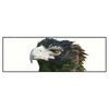Xxl Wandbild Adler Wald Panorama Produktvorschau Frontal