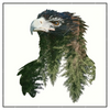 Xxl Wandbild Adler Wald Quadrat Produktvorschau Frontal