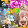 Xxl Wandbild Aeffchen Blumen Querformat Zoom