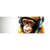 Xxl Wandbild Affe Mit Kopfhoerern Brille Panorama Motivvorschau