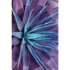 Xxl Wandbild Agavenblaetter Hochformat Motivvorschau