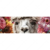 Xxl Wandbild Alpaka Mit Blumen Panorama Motivvorschau
