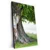 Xxl Wandbild Alte Linde Auf Sommerwiese Hochformat Produktvorschau Seitlich