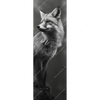 Xxl Wandbild Anmutiger Fuchs Schmal Motivvorschau