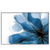 Xxl Wandbild Aquarell Blume Querformat Produktvorschau Frontal