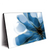 Xxl Wandbild Aquarell Blume Querformat Produktvorschau Seitlich