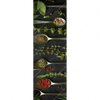 Xxl Wandbild Aromen Der Natur Schmal Motivvorschau