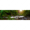 Xxl Wandbild Asiatischer Tropischer Dschungel Panorama Motivvorschau