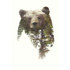 Xxl Wandbild Baer Wald No 1 Hochformat Motivvorschau