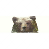 Xxl Wandbild Baer Wald No 1 Panorama Motivvorschau