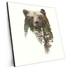 Xxl Wandbild Baer Wald No 1 Quadrat Produktvorschau Seitlich