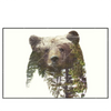 Xxl Wandbild Baer Wald No 1 Querformat Produktvorschau Frontal