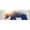 Xxl Wandbild Baer Wald No2 Panorama Motivvorschau