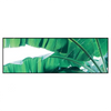 Xxl Wandbild Bananenpalme Panorama Produktvorschau Frontal