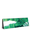 Xxl Wandbild Bananenpalme Panorama Produktvorschau Seitlich