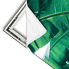 Xxl Wandbild Bananenpalme Quadrat Materialvorschau