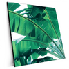 Xxl Wandbild Bananenpalme Quadrat Produktvorschau Seitlich