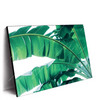Xxl Wandbild Bananenpalme Querformat Produktvorschau Seitlich