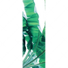 Xxl Wandbild Bananenpalme Schmal Motivvorschau