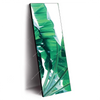 Xxl Wandbild Bananenpalme Schmal Produktvorschau Seitlich