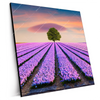 Xxl Wandbild Baum Im Blumenfeld Quadrat Produktvorschau Seitlich