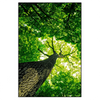 Xxl Wandbild Baum Im Wald Hochformat Produktvorschau Frontal