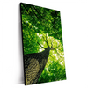 Xxl Wandbild Baum Im Wald Hochformat Produktvorschau Seitlich