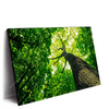 Xxl Wandbild Baum Im Wald Querformat Produktvorschau Seitlich